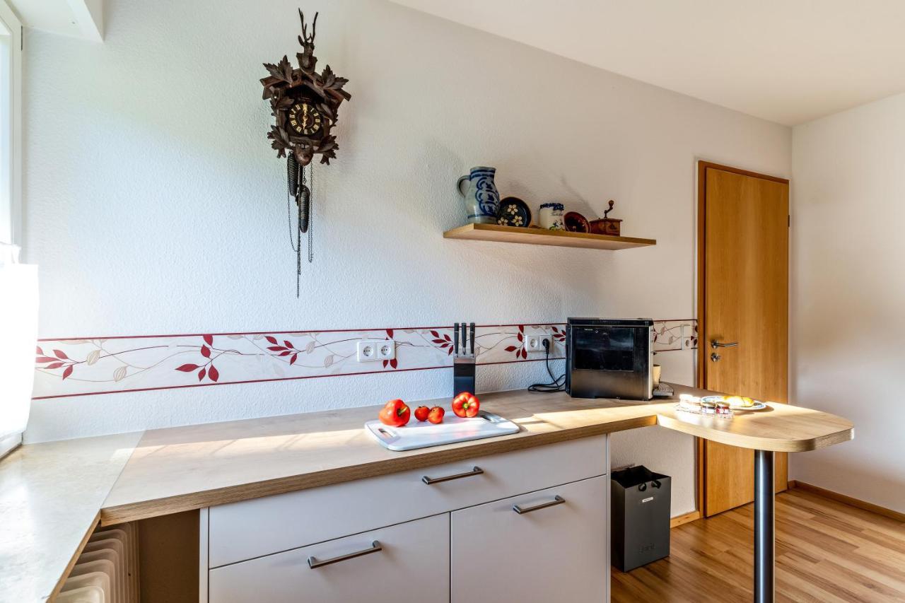 Ferienwohnung Kuckucksnest Lahr  Εξωτερικό φωτογραφία